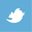 twitter icon